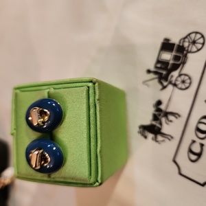 Pretty in blue earrings